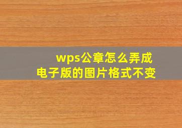 wps公章怎么弄成电子版的图片格式不变