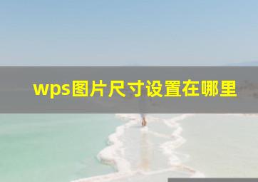 wps图片尺寸设置在哪里