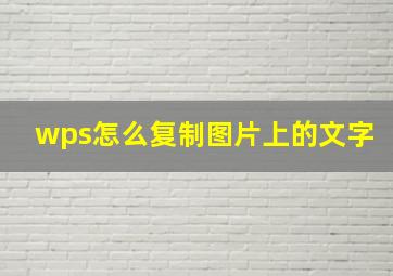 wps怎么复制图片上的文字