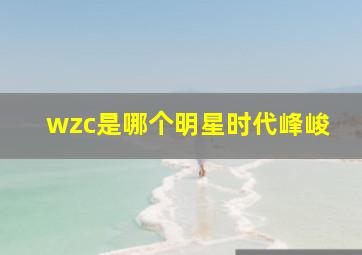 wzc是哪个明星时代峰峻