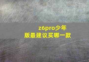 z6pro少年版最建议买哪一款