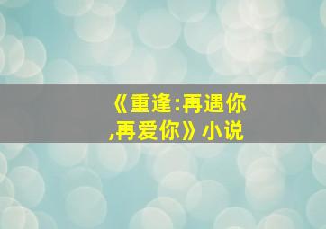 《重逢:再遇你,再爱你》小说