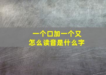 一个口加一个又怎么读音是什么字