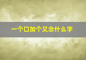 一个口加个又念什么字