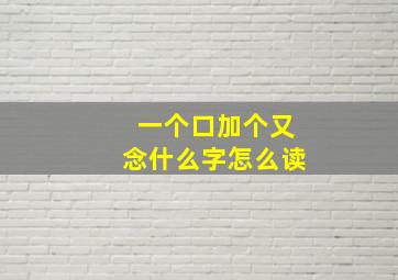 一个口加个又念什么字怎么读