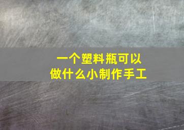 一个塑料瓶可以做什么小制作手工