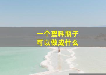 一个塑料瓶子可以做成什么