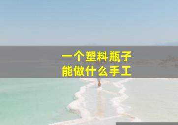 一个塑料瓶子能做什么手工