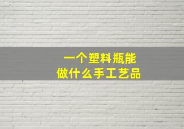 一个塑料瓶能做什么手工艺品