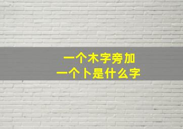 一个木字旁加一个卜是什么字