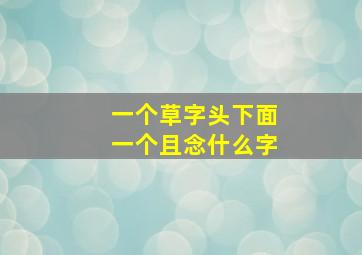 一个草字头下面一个且念什么字