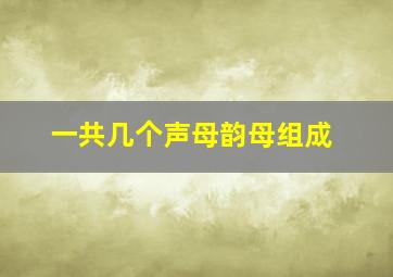 一共几个声母韵母组成