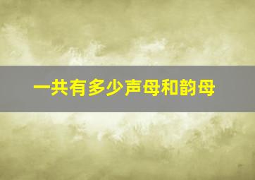 一共有多少声母和韵母