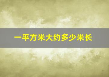 一平方米大约多少米长