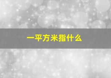 一平方米指什么