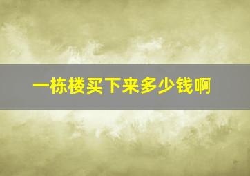 一栋楼买下来多少钱啊