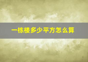 一栋楼多少平方怎么算