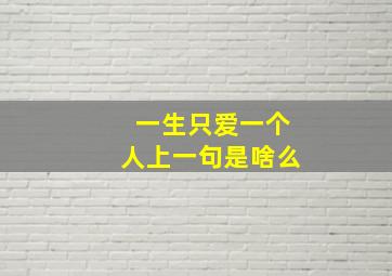 一生只爱一个人上一句是啥么