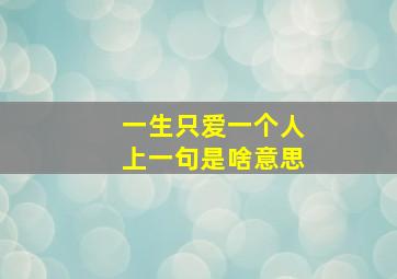 一生只爱一个人上一句是啥意思