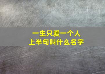 一生只爱一个人上半句叫什么名字