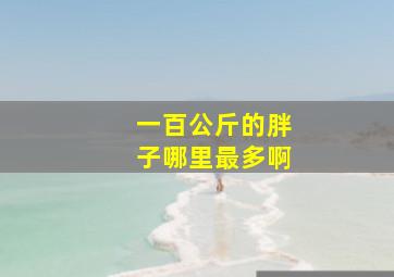 一百公斤的胖子哪里最多啊