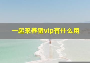 一起来养猪vip有什么用