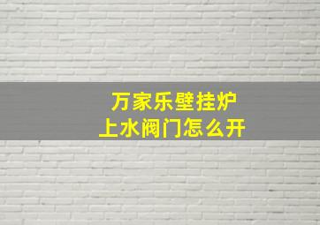 万家乐壁挂炉上水阀门怎么开