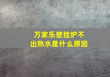 万家乐壁挂炉不出热水是什么原因