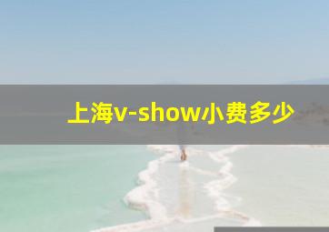 上海v-show小费多少