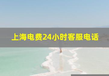 上海电费24小时客服电话