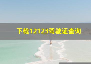 下载12123驾驶证查询