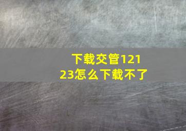 下载交管12123怎么下载不了