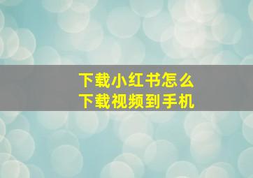 下载小红书怎么下载视频到手机