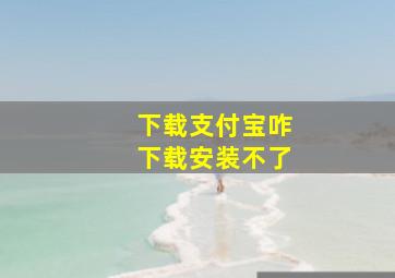 下载支付宝咋下载安装不了