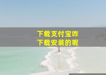 下载支付宝咋下载安装的呢