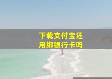 下载支付宝还用绑银行卡吗