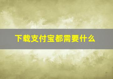 下载支付宝都需要什么