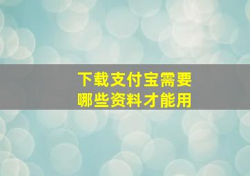 下载支付宝需要哪些资料才能用