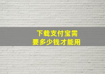 下载支付宝需要多少钱才能用