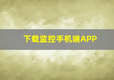 下载监控手机端APP