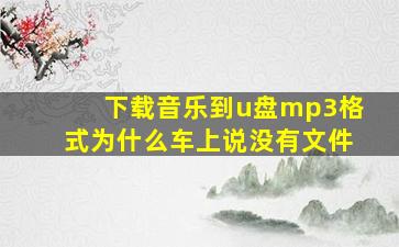 下载音乐到u盘mp3格式为什么车上说没有文件