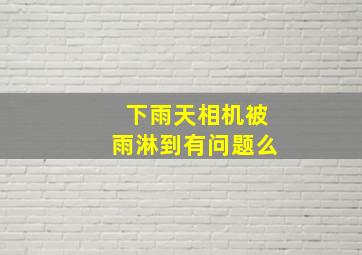 下雨天相机被雨淋到有问题么