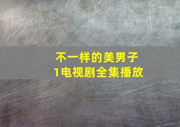 不一样的美男子1电视剧全集播放