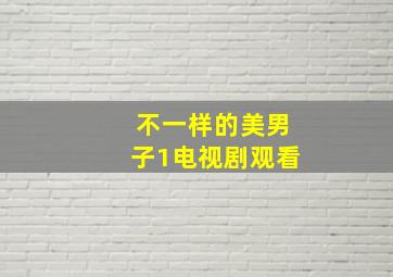 不一样的美男子1电视剧观看