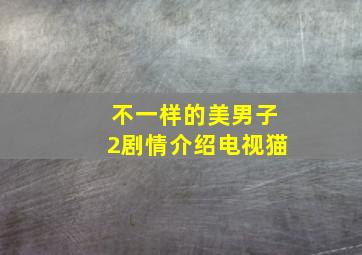 不一样的美男子2剧情介绍电视猫