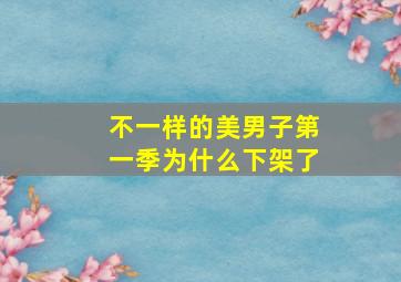 不一样的美男子第一季为什么下架了