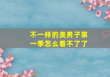 不一样的美男子第一季怎么看不了了