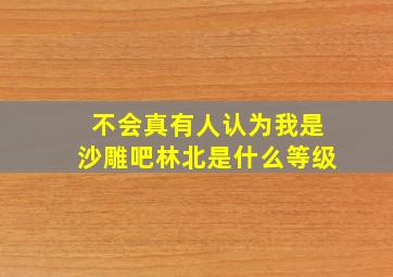 不会真有人认为我是沙雕吧林北是什么等级