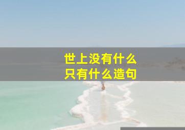 世上没有什么只有什么造句