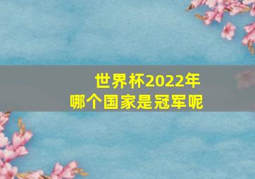 世界杯2022年哪个国家是冠军呢